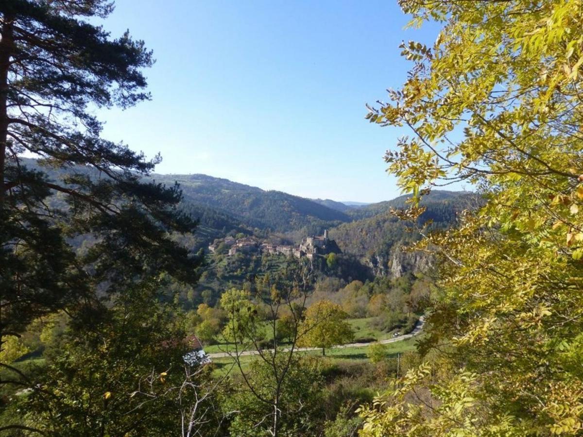 Gite En Pierre Avec Terrasses, Proche De Sites Medievaux, Ideal Pour Famille Avec Equipements Bebe. - Fr-1-582-256 Boisset  ภายนอก รูปภาพ